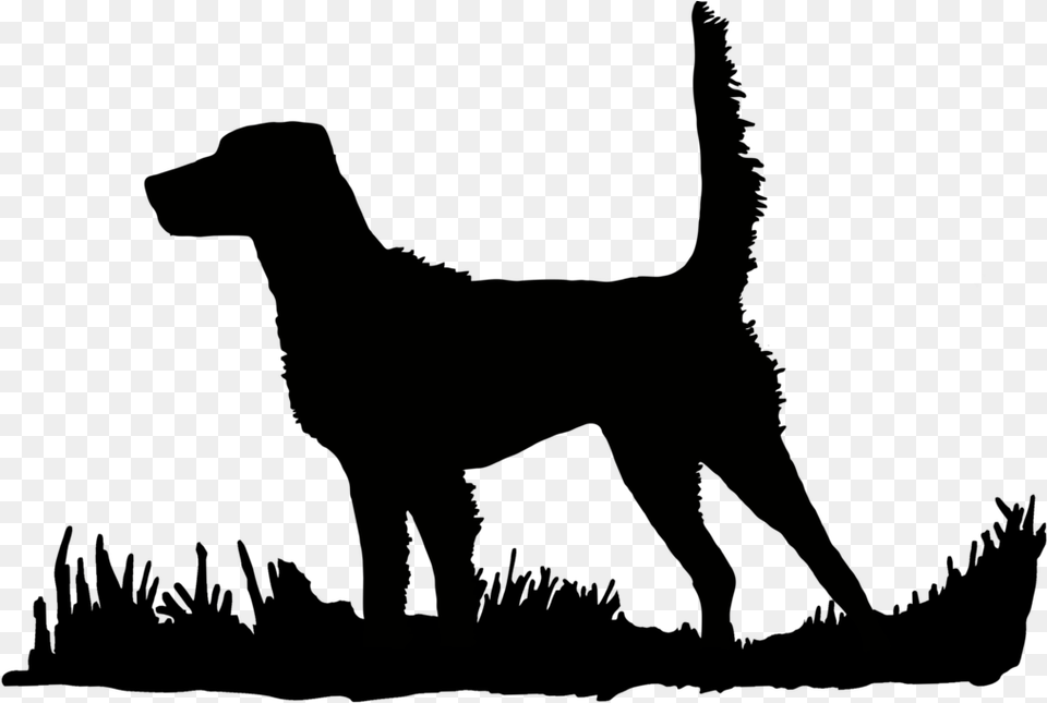 English Setter High Tail Bird Upland Hunting Hunting Dog Clip Art, Animal, Deer, Mammal, Wildlife Png Image