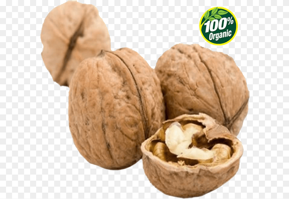 English Walnut Image Background Expensive Nuts, Food, Nut, Plant, Produce Free Png Download