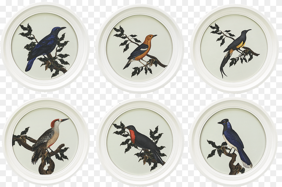 Engraving Oiseaux Buffon Round White Set Of 6title Oiseaux Buffon, Pottery, Art, Porcelain, Animal Free Png