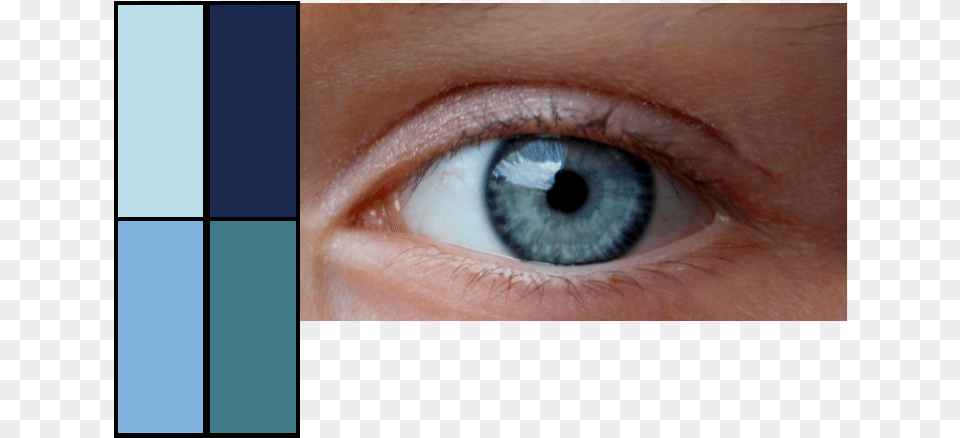 Enhance Your Eyes Vibrant Blue Eyes, Baby, Person, Contact Lens Free Png Download