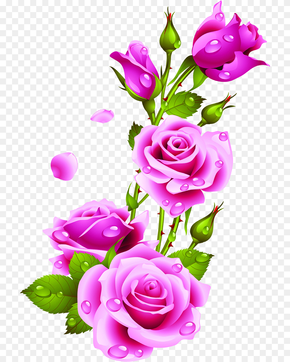 Enjoy Sunday Good Morning, Art, Floral Design, Flower, Graphics Png Image