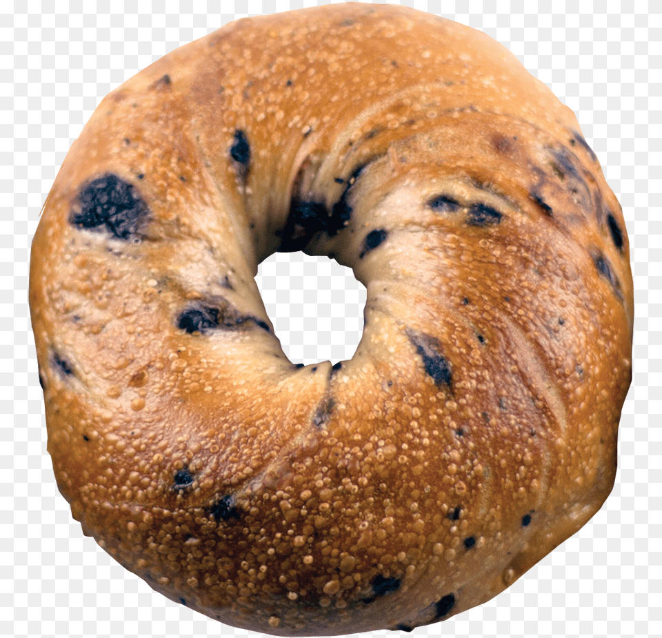 Enjoys As A Favorite Blueberry Bagels New York Blueberry Bagel, Bread, Food Png Image