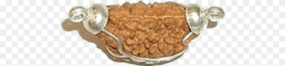 Enquiry Form Ek Mukhi Rudraksha Bracelet, Food, Nut, Plant, Produce Free Transparent Png