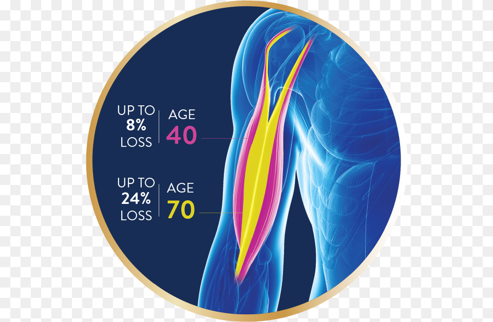 Ensure Powder Age Limit, Ct Scan, Disk Free Png