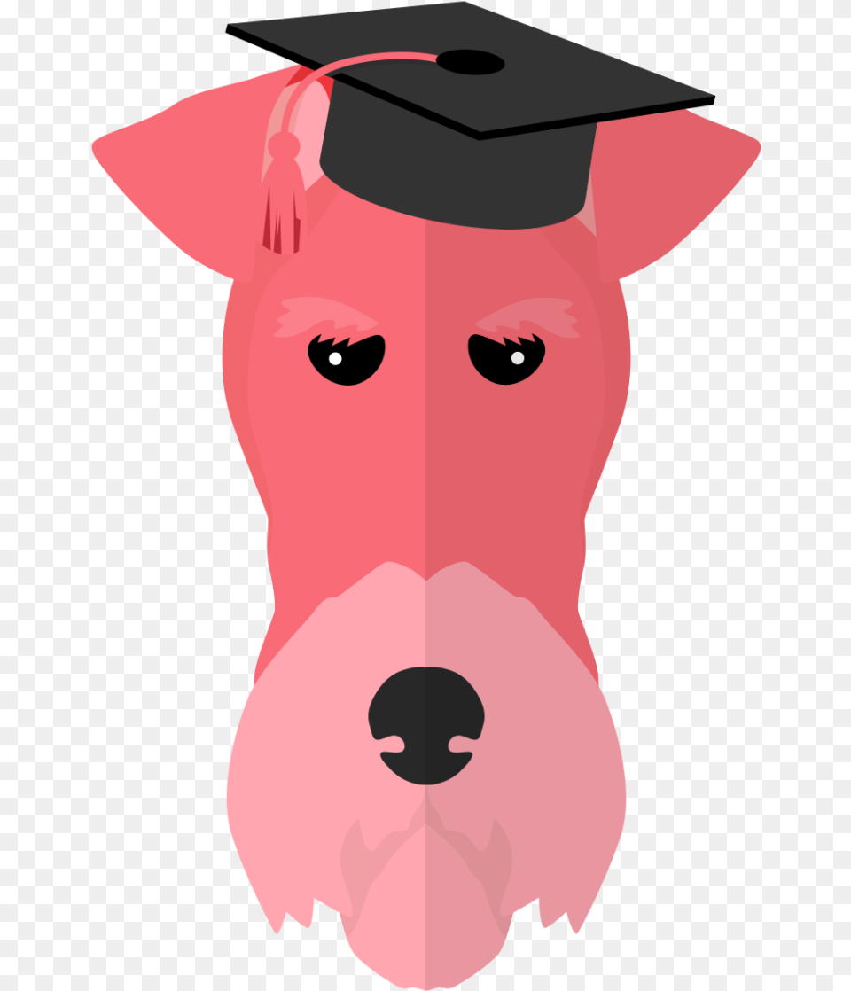 Entendemos La Formacin Como Un Proceso Clave En La Mortarboard, People, Person, Snout, Baby Free Png