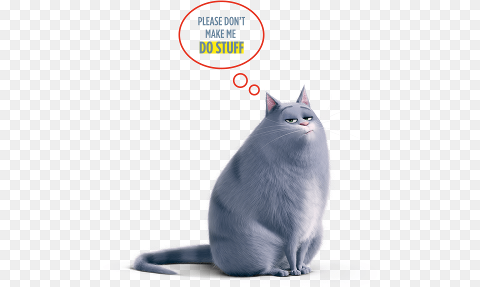 Enter Competition Chloe From Secret Life Of Pets, Angora, Animal, Cat, Mammal Free Png Download