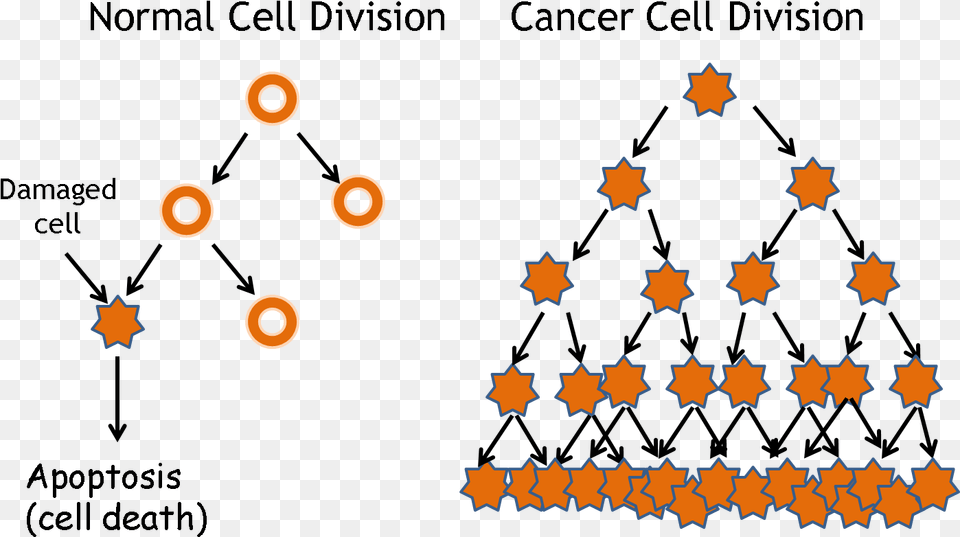 Enter Image Description Here Cancer Cells Vs Normal Cells, Symbol, Star Symbol, Outdoors Free Transparent Png