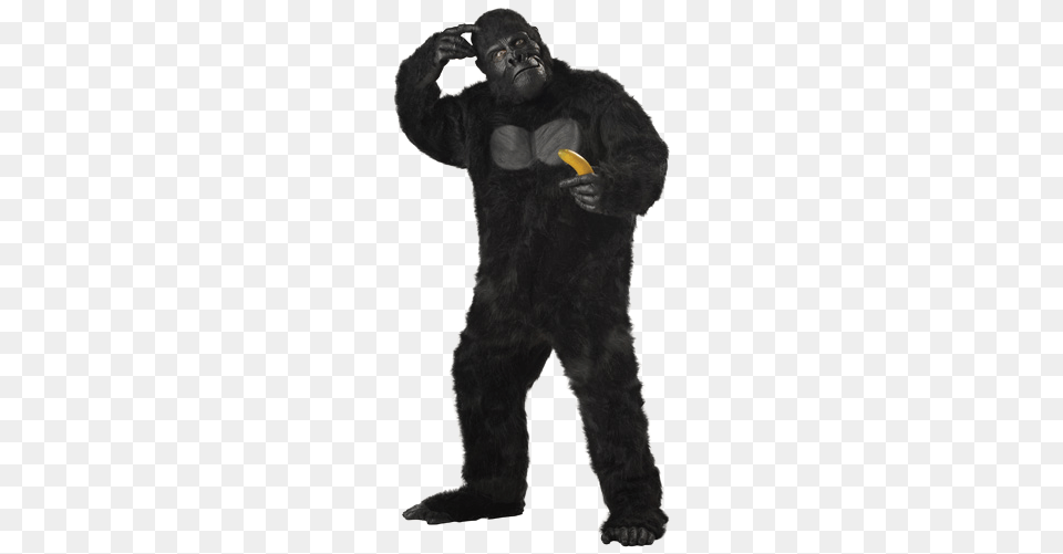 Enter To Win A Gorilla Suit Gorilla Costume, Animal, Ape, Bear, Mammal Free Png