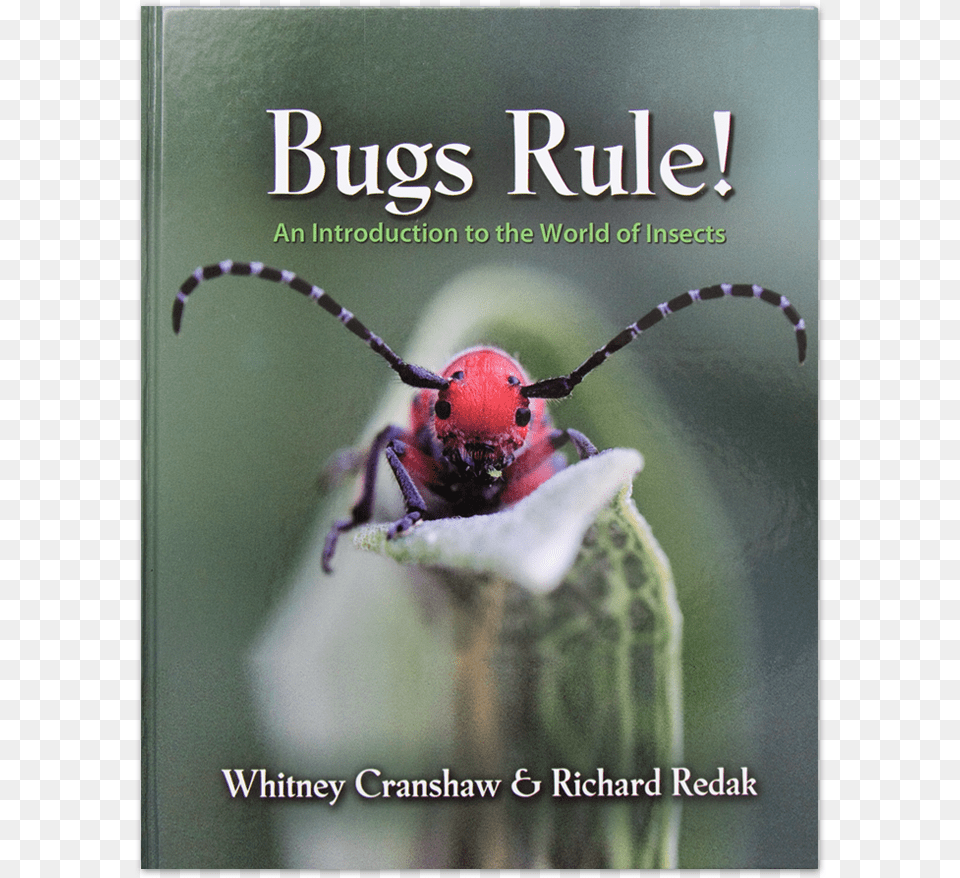 Entomology Book Published By Princeton University, Animal, Insect, Invertebrate Png