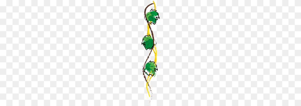 Entwine Plant, Vine, Art, Green Free Transparent Png