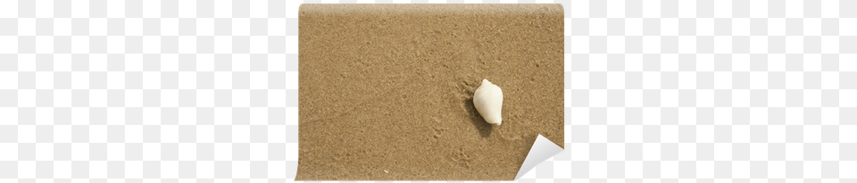 Envelope, Animal, Invertebrate, Sea Life, Seashell Png Image