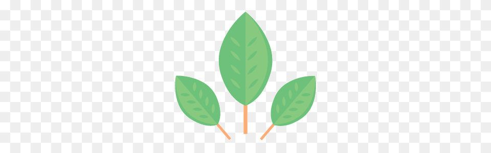 Environment, Herbal, Herbs, Leaf, Plant Free Transparent Png