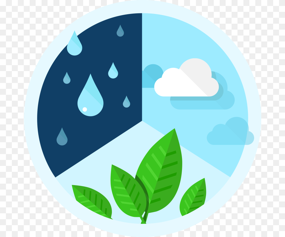 Environment Clipart Environmental Issue, Leaf, Plant, Outdoors, Nature Png Image