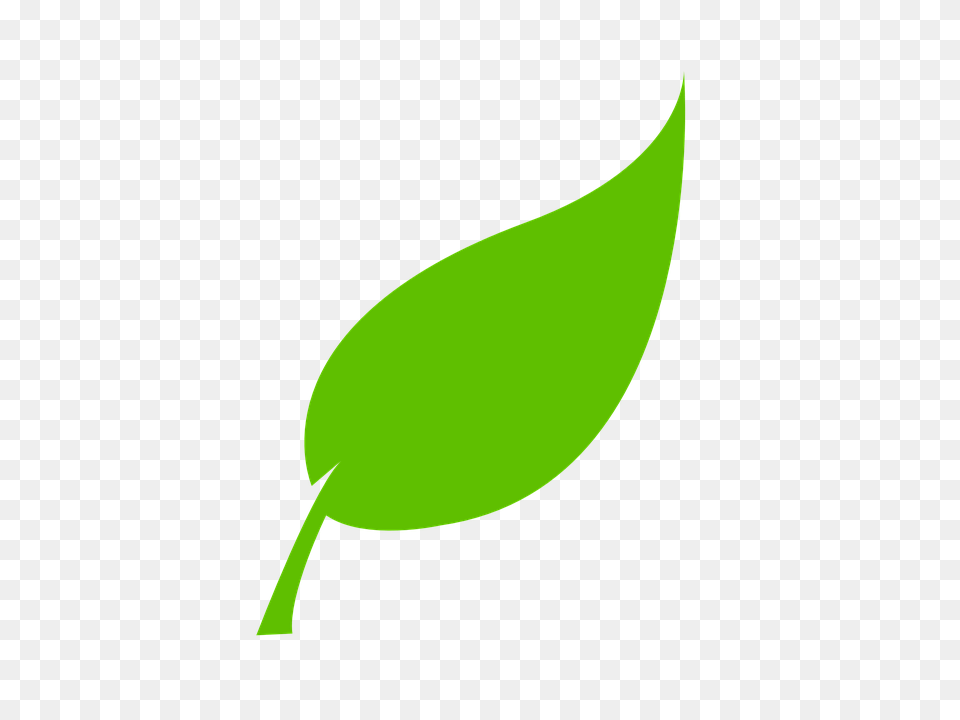 Environment Clipart Green Environment, Plant, Leaf, Astronomy, Outdoors Free Transparent Png