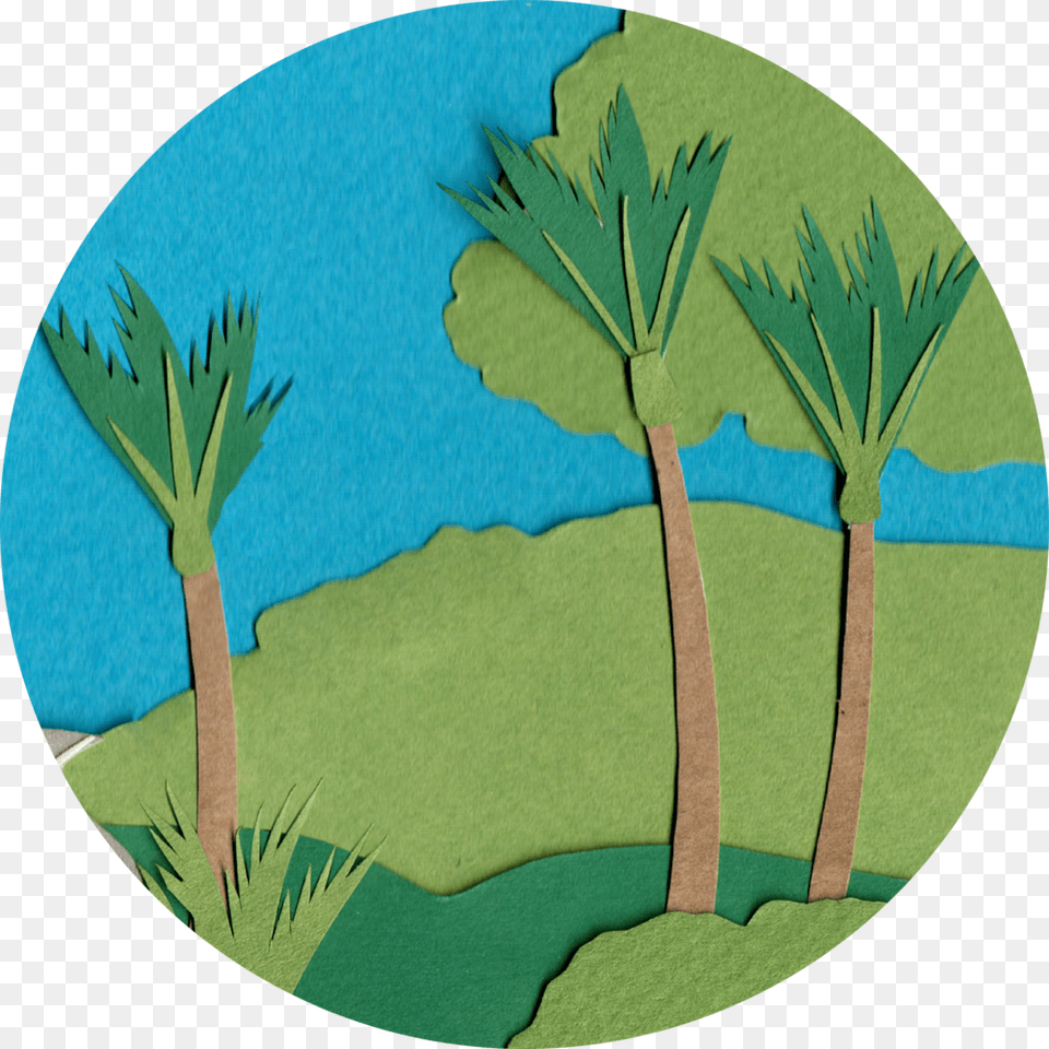 Environment Icon, Green, Palm Tree, Plant, Tree Free Transparent Png