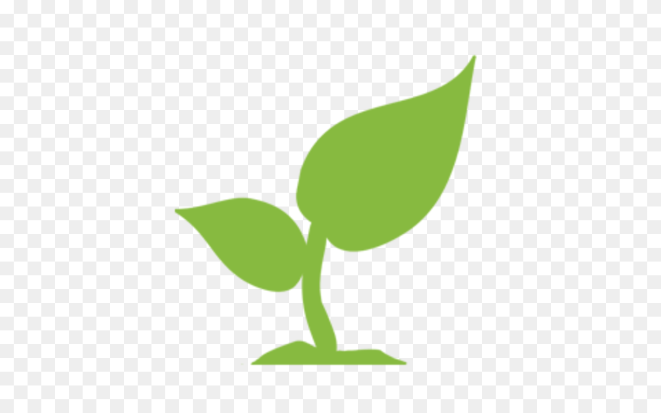 Environment Icon Leaf, Plant, Bud, Flower Free Transparent Png