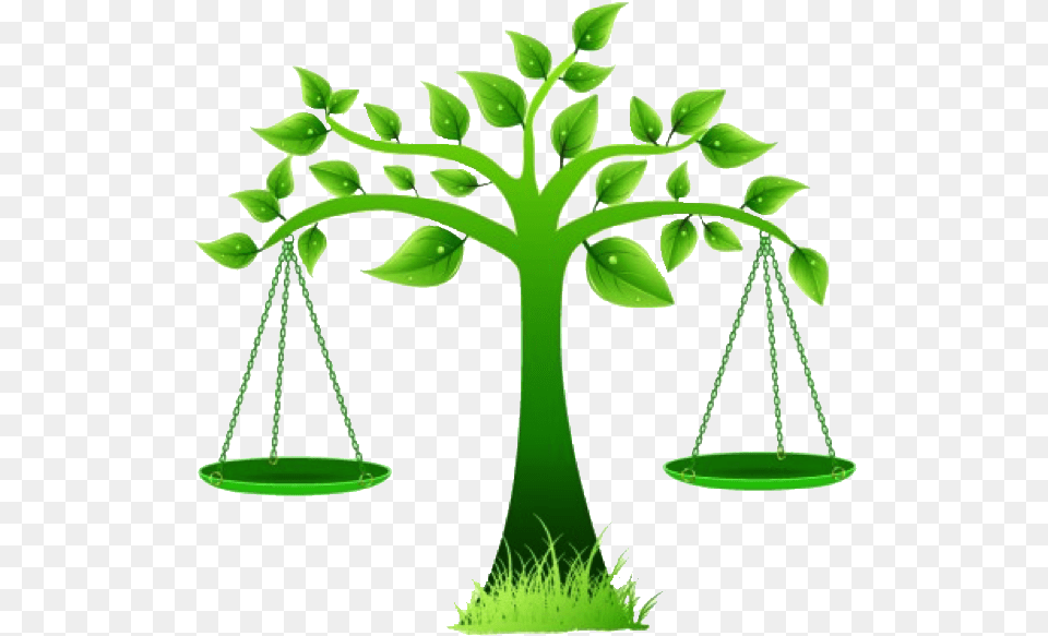 Environment Vector Day Scales Of Justice Tree, Plant, Potted Plant, Scale Png
