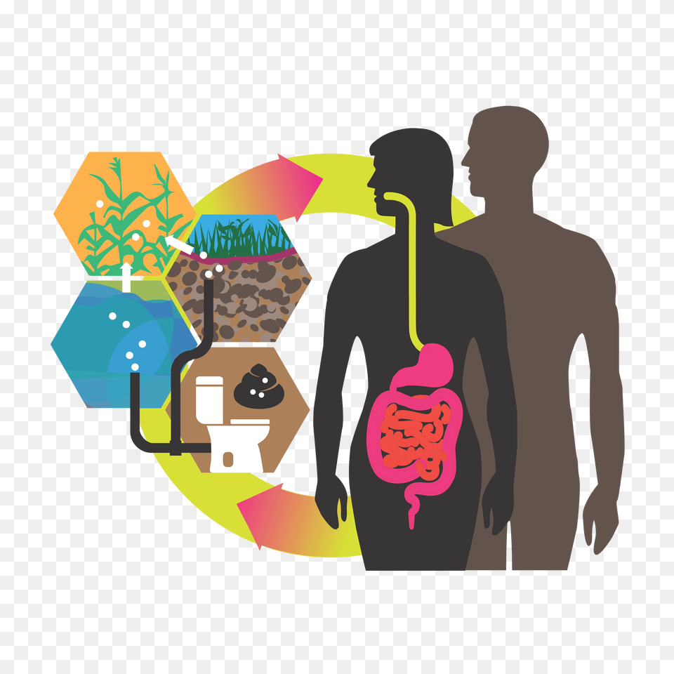 Environmental Aspects And Features Of Critical Pathogen Groups, Adult, Male, Man, Person Png