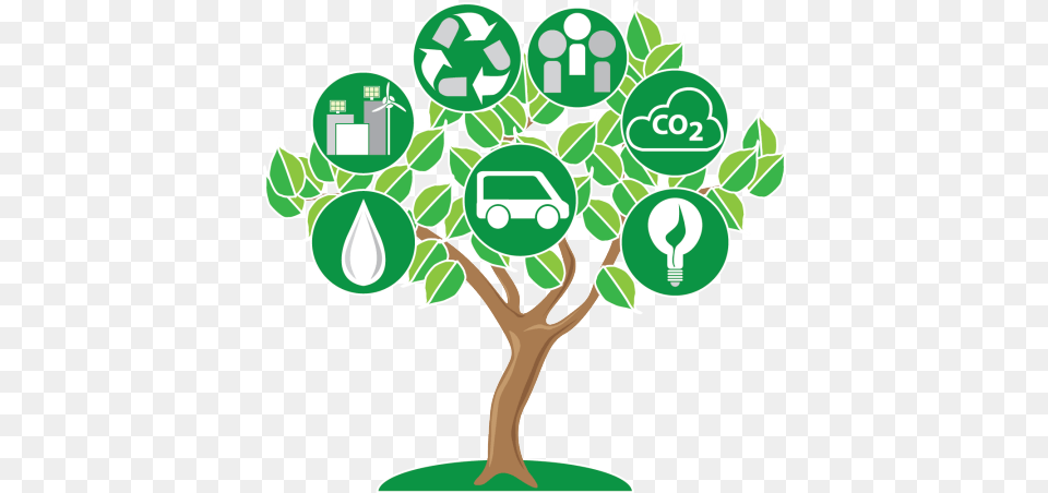 Environmental Sustainability Tree, Green, Recycling Symbol, Symbol, Plant Free Png