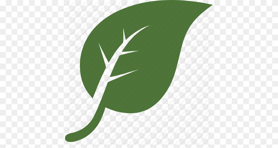 Environnement Garden Green Leaf Leaves Nature Tree Icon, Plant, Flower, Rose, Herbal Png