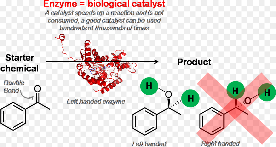 Enzyme Biological Catalyst S Amphetamine, Art, Graphics, Dynamite, Weapon Free Png