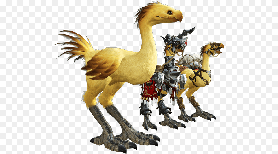 Eorzea De Chocobo For Piano Solo From Final Fantasy Final Fantasy 14 Chocobo, Animal, Bird Free Transparent Png