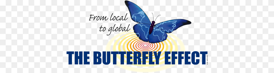 Ep Logo Butterfly Effect Water, Animal, Bird, Jay Free Png