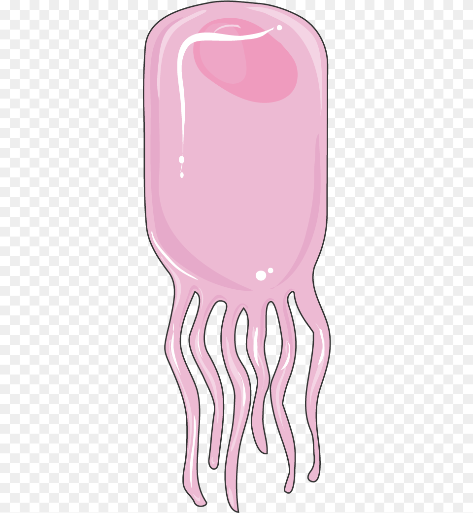 Ependymal Cell Servier Medical Art Girly, Animal, Sea Life, Invertebrate, Jellyfish Png