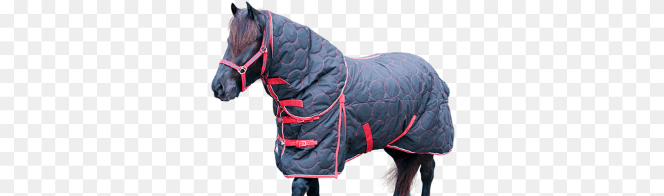 Epic Classic Stable Rugs Stable, Clothing, Coat, Animal, Horse Free Png