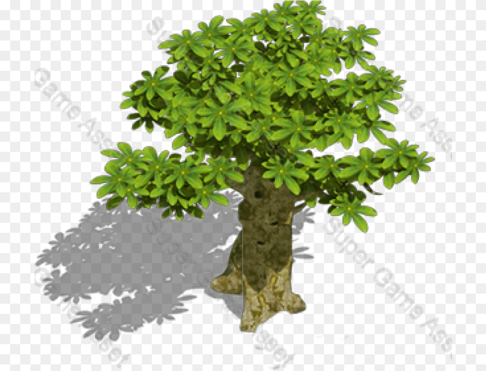 Epic Rpg Trees U0026 Props Gambel Oak, Plant, Potted Plant, Tree, Bonsai Png Image