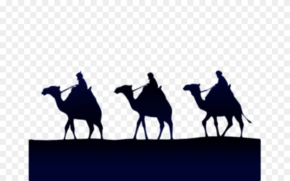 Epiphany Three Kings On A Camel, Animal, Mammal, Horse, Adult Free Transparent Png
