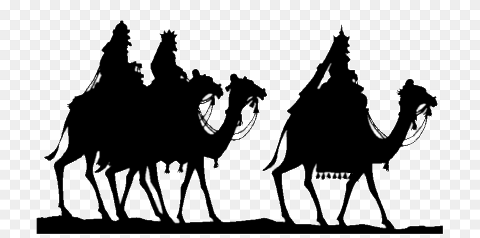 Epiphany Three Kings Silhouette, Adult, Male, Man, Person Free Png