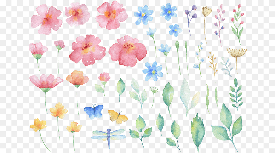 Eps Psd Malva, Flower, Petal, Plant, Anemone Free Png