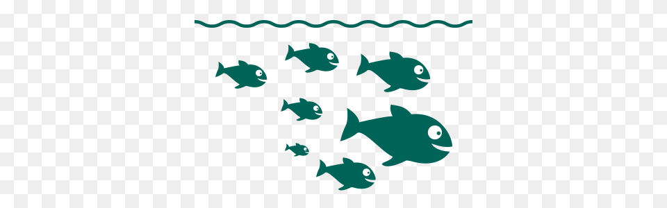 Eqa, Animal, Fish, Sea Life, Tuna Png Image