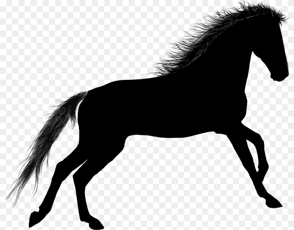 Equestrian Gallop Riding Pony Computer Icons Silhouette Gray Free Png Download