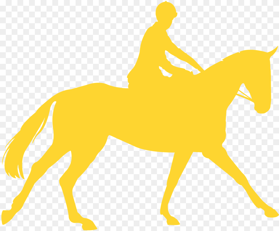 Equestrian Sport Silhouette, Baby, Person, People, Animal Free Png