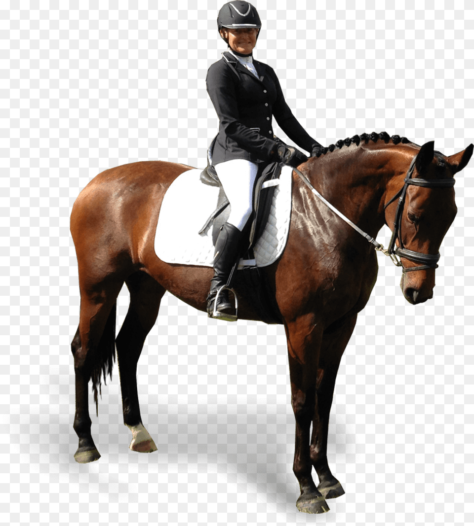 Equestrianism, Person, Animal, Mammal, Equestrian Png Image