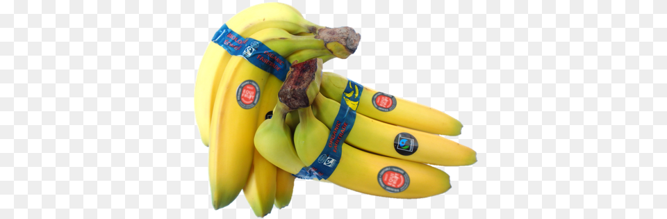 Equifruit Is The Canadian Market Leader In Fairtrade Equifruit Bananas, Banana, Food, Fruit, Plant Free Png Download