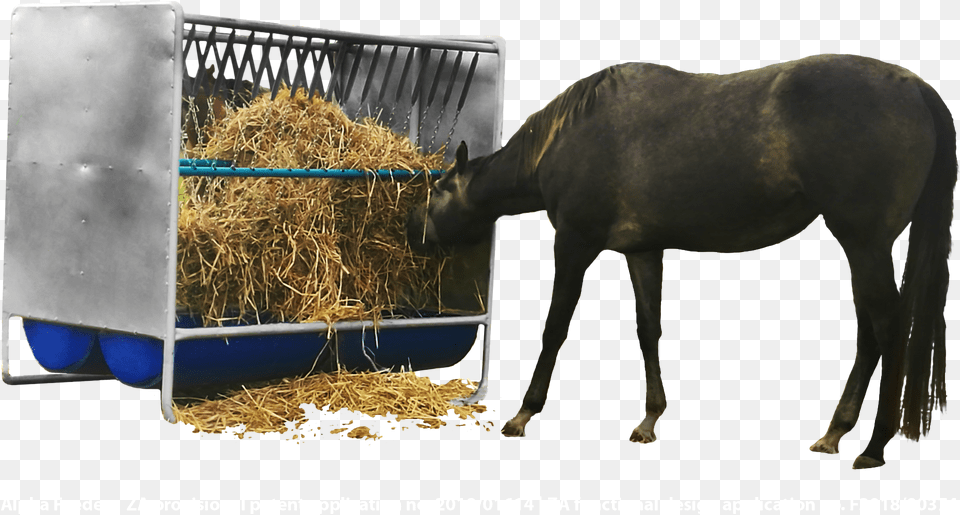 Equine Feeders Mane, Countryside, Nature, Outdoors, Straw Free Png