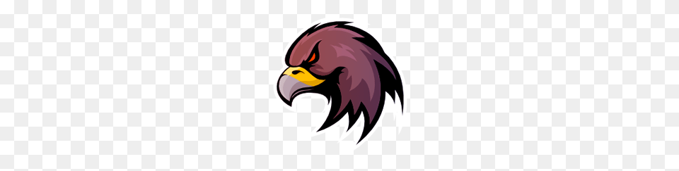 Equipos, Animal, Beak, Bird, Eagle Free Transparent Png