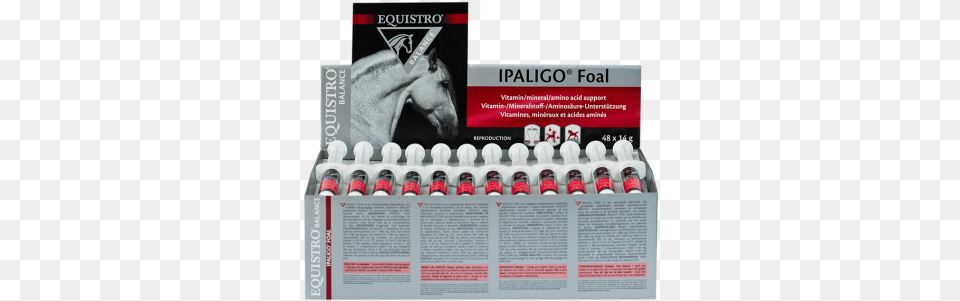 Equistro Ipaligo Foal Ipaligo Foal, Advertisement, Animal, Horse, Mammal Free Png Download