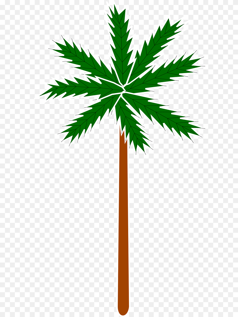 Erba Stilizzato Vettoriale, Leaf, Palm Tree, Plant, Tree Png