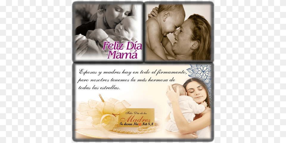 Eres La Nica Persona En New Mothers From Prenatal Care Through The First Precious, Head, Portrait, Baby, Photography Free Transparent Png