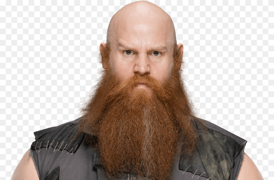 Erick Rowan, Adult, Beard, Face, Head Free Png