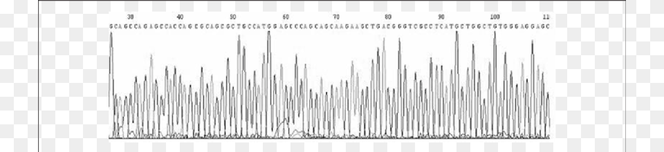 Erification Of The Identity Of The Polymerase Chain Monochrome, Chart, Plot Free Png