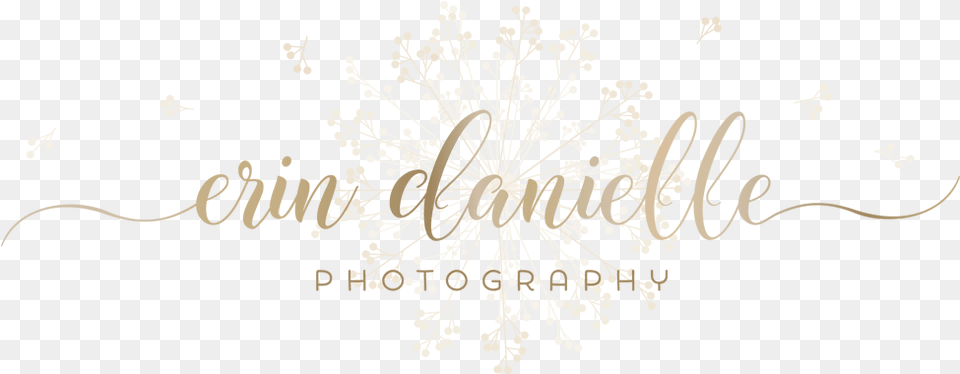 Erin Danielle Photography, Chandelier, Lamp, Art, Graphics Png Image