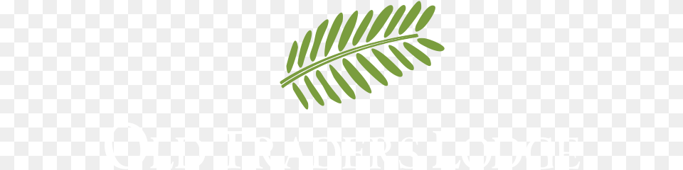 Erindi Private Game Reserve Language, Leaf, Plant, Vegetation, Fern Free Transparent Png