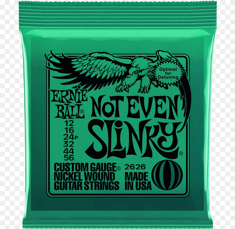 Ernie Ball 12, Animal, Bird Png Image