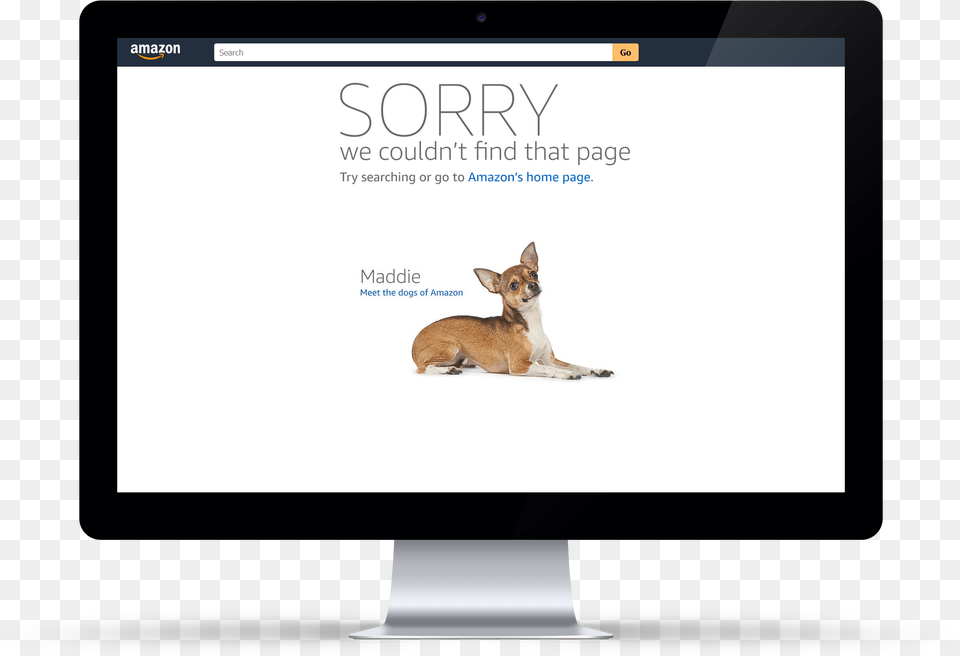 Error, Screen, Electronics, Dog, Canine Free Transparent Png