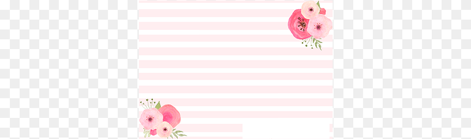 Error Message Garden Roses, Art, Floral Design, Graphics, Pattern Free Transparent Png